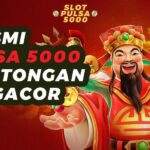Bandar Gacor XL: Pilihan Terbaik untuk Taruhan Online Anda