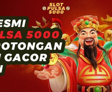 Bandar Gacor XL: Pilihan Terbaik untuk Taruhan Online Anda